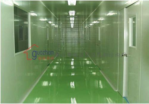 凈化車(chē)間 (2)